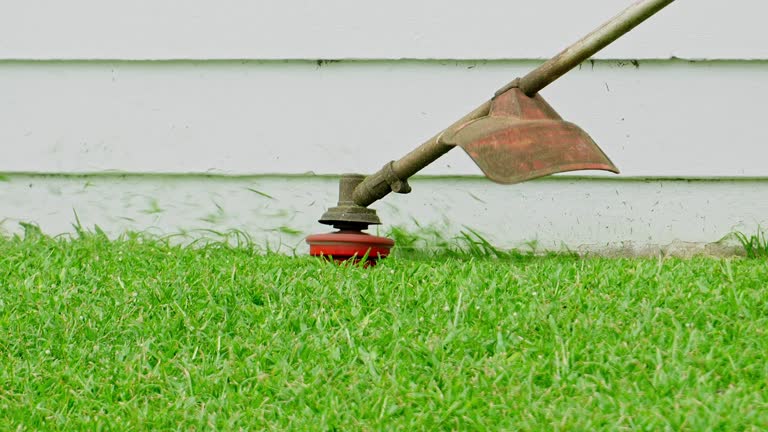 Organic Lawn Care Solutions in Buena, NJ